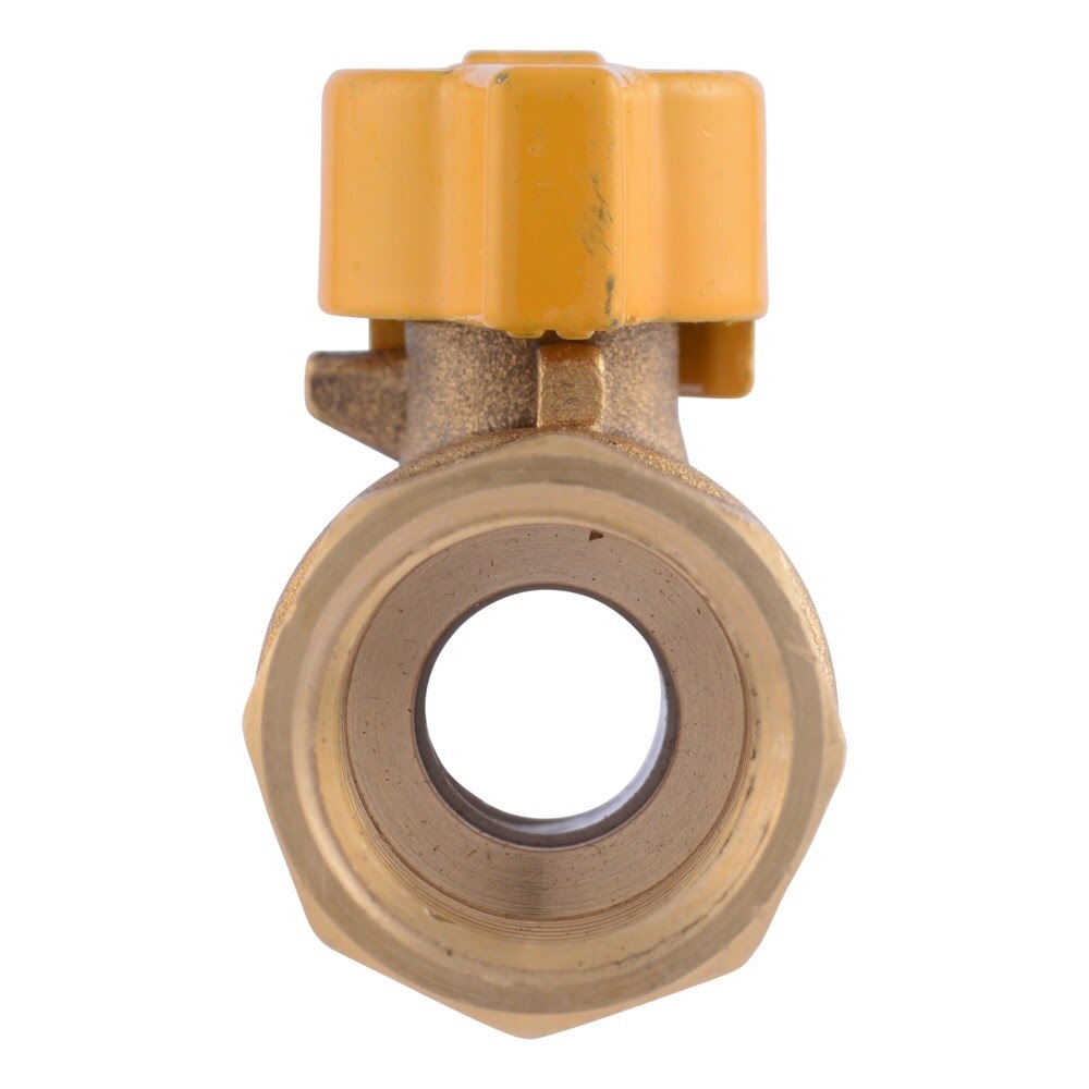Eastman 60009B 1/2 in. FIP x 1/2 in. FIP Straight Brass Gas Ball Valve with Lever Handle - 3