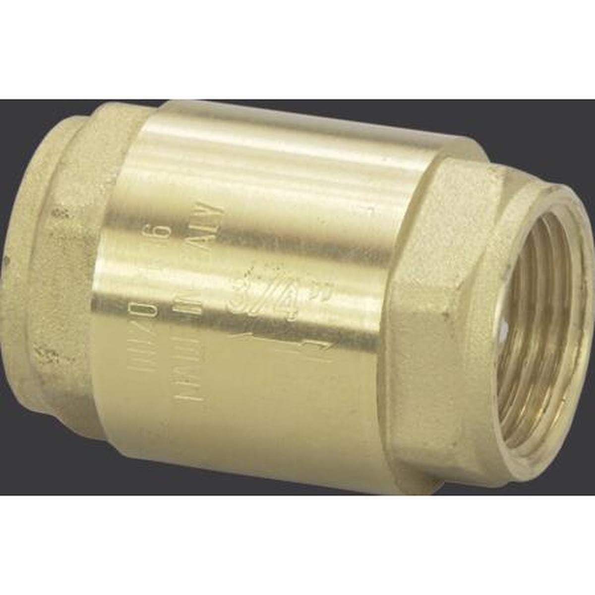 Viega 20201 (2873.4US) 1/2 in Brass Spring Check Valve Female Pipe Thread (1 Each) - 2